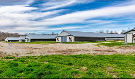 Turn key Kentucky Poultry Broiler Farm in Cumberland County, Ky - image 8