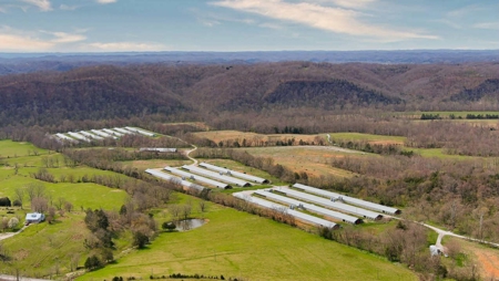 Turn key Kentucky Poultry Broiler Farm in Cumberland County, Ky - image 19