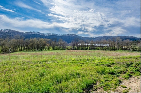 Turn key Kentucky Poultry Broiler Farm in Cumberland County, Ky - image 28