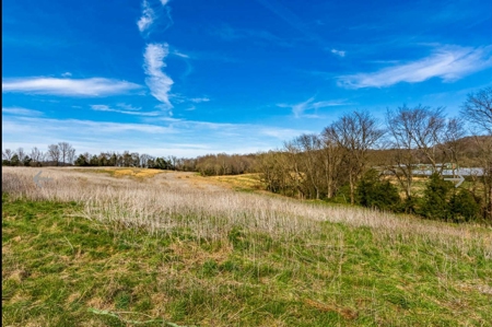 Turn key Kentucky Poultry Broiler Farm in Cumberland County, Ky - image 29