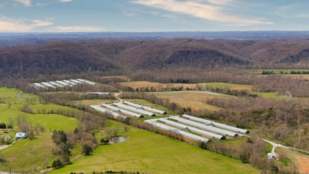 Turn key Kentucky Poultry Broiler Farm in Cumberland County, Ky - image 1