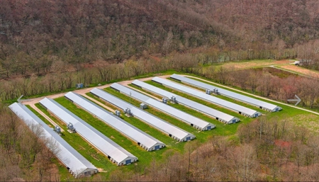 Turn key Kentucky Poultry Broiler Farm in Cumberland County, Ky - image 11