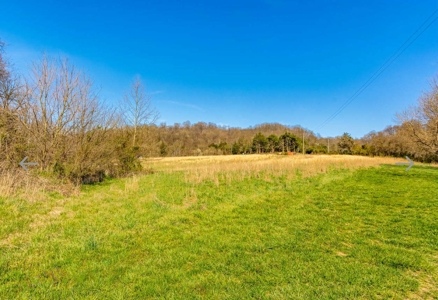 Turn key Kentucky Poultry Broiler Farm in Cumberland County, Ky - image 30