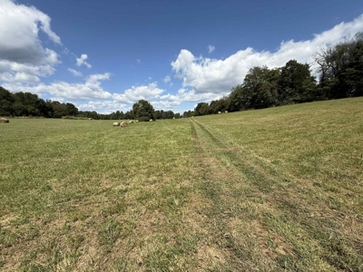 Turn key Kentucky Poultry Broiler Farm in Cumberland County, Ky - image 26
