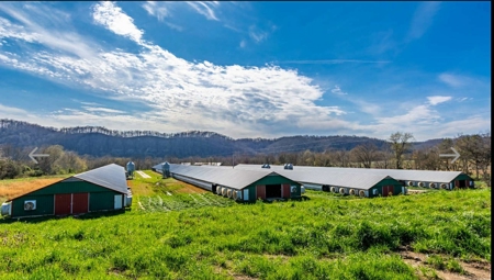 Turn key Kentucky Poultry Broiler Farm in Cumberland County, Ky - image 4