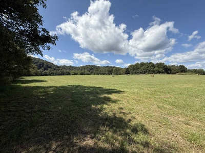 Turn key Kentucky Poultry Broiler Farm in Cumberland County, Ky - image 23