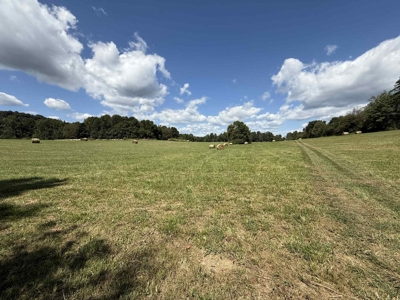 Turn key Kentucky Poultry Broiler Farm in Cumberland County, Ky - image 24