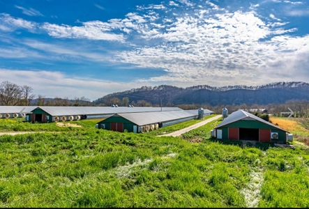 Turn key Kentucky Poultry Broiler Farm in Cumberland County, Ky - image 5
