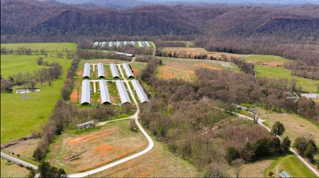 Turn key Kentucky Poultry Broiler Farm in Cumberland County, Ky - image 14