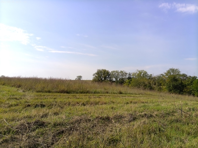 78 Acres of Farm, Hunting and Recreational Land - image 13