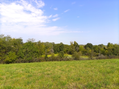 78 Acres of Farm, Hunting and Recreational Land - image 14