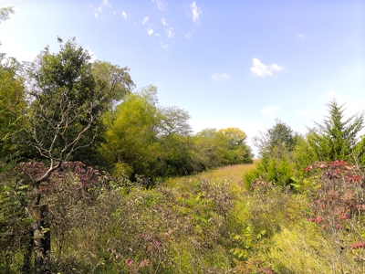 78 Acres of Farm, Hunting and Recreational Land - image 21