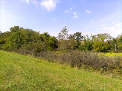 78 Acres of Farm, Hunting and Recreational Land - image 16