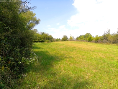 78 Acres of Farm, Hunting and Recreational Land - image 19
