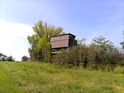 78 Acres of Farm, Hunting and Recreational Land - image 10