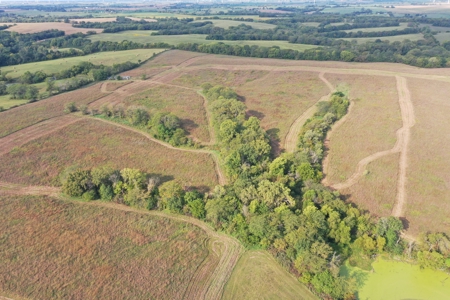 78 Acres of Farm, Hunting and Recreational Land - image 31