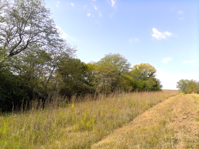 78 Acres of Farm, Hunting and Recreational Land - image 22