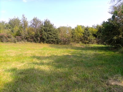78 Acres of Farm, Hunting and Recreational Land - image 18