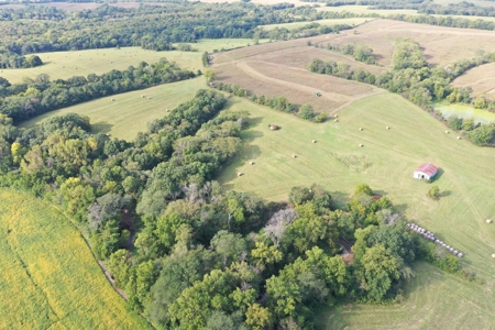 78 Acres of Farm, Hunting and Recreational Land - image 26