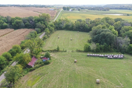 78 Acres of Farm, Hunting and Recreational Land - image 39