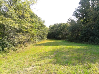 78 Acres of Farm, Hunting and Recreational Land - image 8