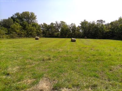 78 Acres of Farm, Hunting and Recreational Land - image 3