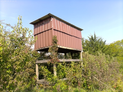 78 Acres of Farm, Hunting and Recreational Land - image 11