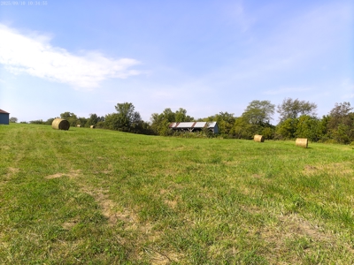 78 Acres of Farm, Hunting and Recreational Land - image 5