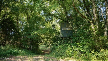 Turkey Roost Lodge in Wilkinson County, Mississippi - image 39