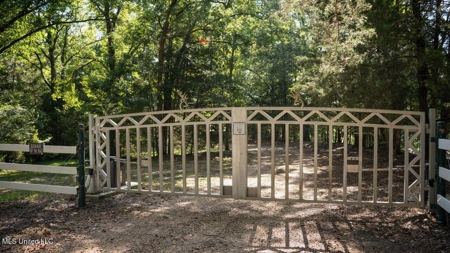 Turkey Roost Lodge in Wilkinson County, Mississippi - image 46