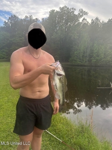 Turkey Roost Lodge in Wilkinson County, Mississippi - image 42