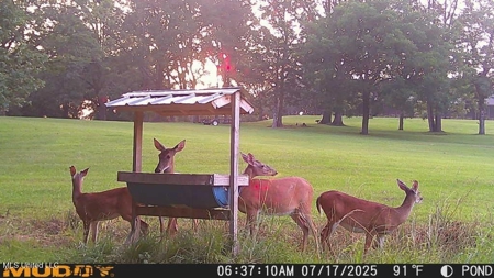 Turkey Roost Lodge in Wilkinson County, Mississippi - image 43