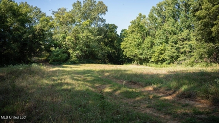 Turkey Roost Lodge in Wilkinson County, Mississippi - image 38
