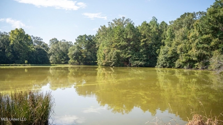 Turkey Roost Lodge in Wilkinson County, Mississippi - image 45