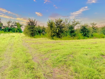 Land For Sale In  Lafayette County!! - image 2