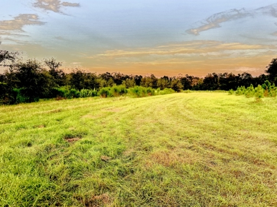 Land For Sale In  Lafayette County!! - image 1