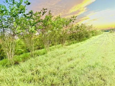 Land For Sale In Lafayette County!! - image 5