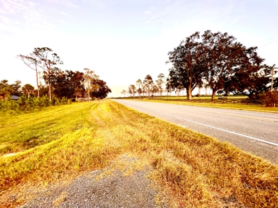 Land For Sale In Lafayette County!! - image 9