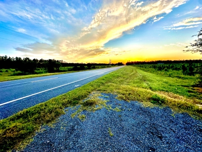 Land For Sale In Lafayette County!! - image 10