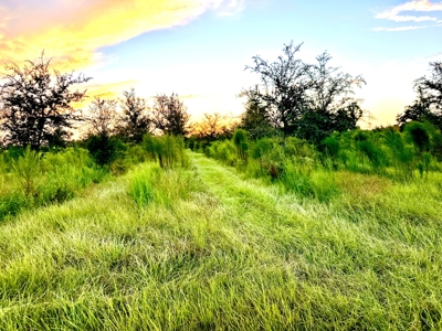 Land For Sale In Lafayette County!! - image 1