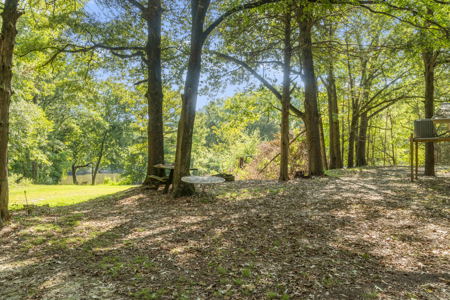 Little Red River Riverfront Hunting and Fishing Camp For Sale - image 31