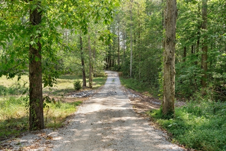 Your Private Luxury Escape in the Heart of Williamson County - image 6