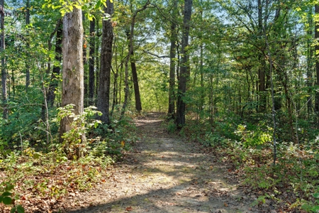 Your Private Luxury Escape in the Heart of Williamson County - image 40