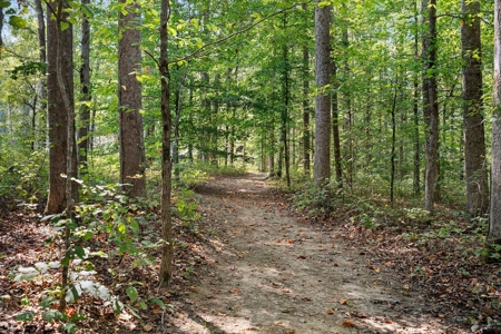 Your Private Luxury Escape in the Heart of Williamson County - image 39