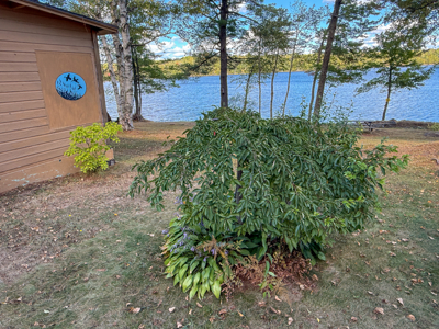 Lakefront Investment Opportunity - Brookton, Maine - image 9