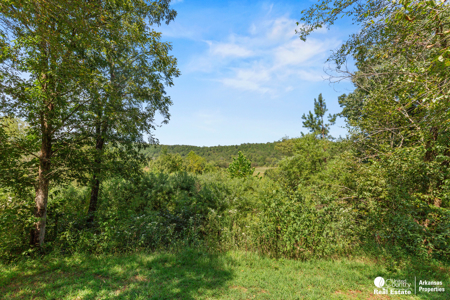 Your Private Arkansas Retreat Awaits – $699,900 - image 21