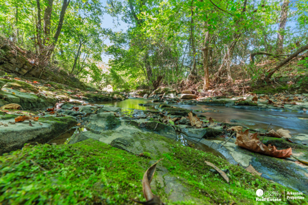 Your Private Arkansas Retreat Awaits – $699,900 - image 24
