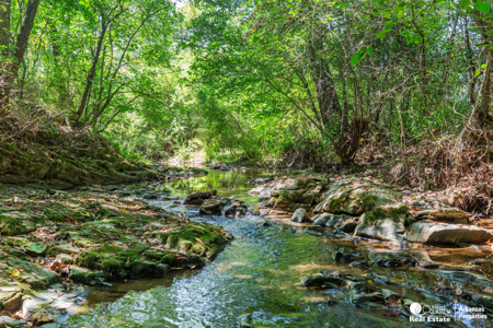 Your Private Arkansas Retreat Awaits – $699,900 - image 23