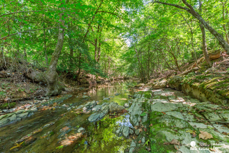 Your Private Arkansas Retreat Awaits – $699,900 - image 22