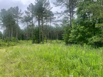 5 Acres of unrestricted land near Lexington, TN - image 5